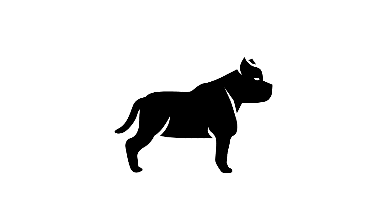 American bully hot sale supplies