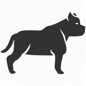 dog supplies